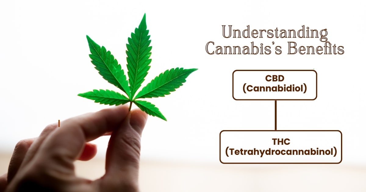 buy cannabis products online